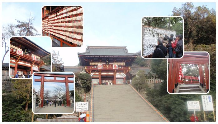 6日目 鶴岡八幡宮